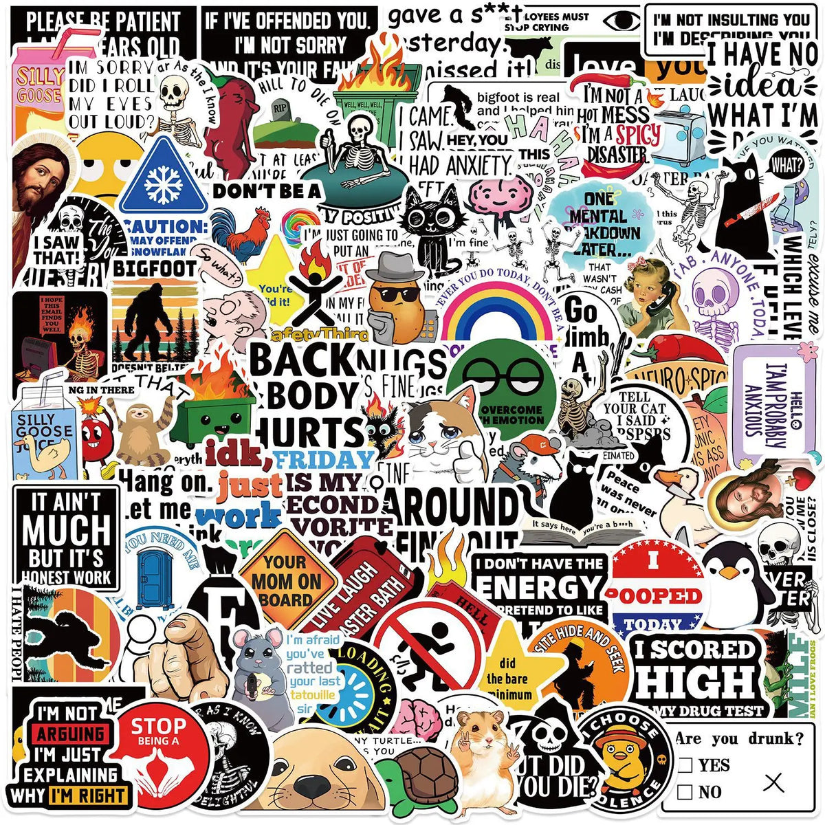 100PCS Cartoon Meme Stickers - Funny Snarky Aesthetic Decals for Phone, Laptop, Scrapbook & More