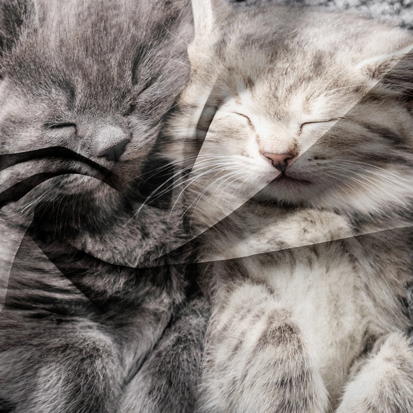 3-Piece Romantic Cat Print Duvet Cover Set - Soft Valentine’s Day Couple Bedding