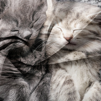 3-Piece Romantic Cat Print Duvet Cover Set - Soft Valentine’s Day Couple Bedding