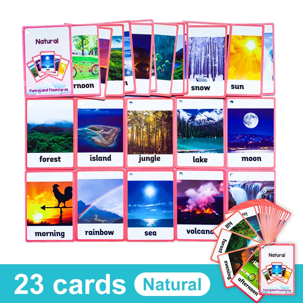 Kids English Vocabulary Flashcards - 26 Themes Fruits Animals Vehicles & Learning Activity Cards