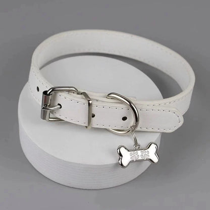 Colorful Gothic Dog Claw & Bone Choker Necklace - PU Leather Punk Party Jewelry for Women