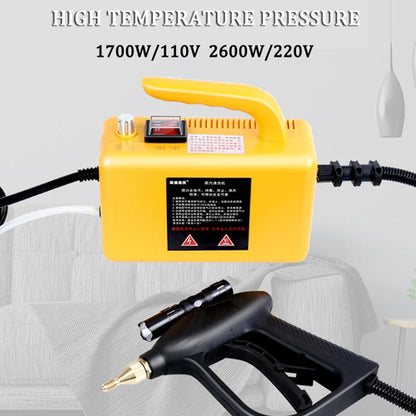 High-Temperature Home Steam Cleaner – Sterilization for Air Conditioning, Kitchen Hood & Car, 110V/220V