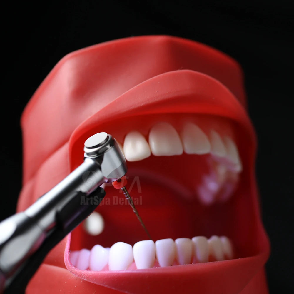 SPTA 16:1 Contra Angle Low Speed Turbine Handpiece – Reciprocating Root Canal File for Endodontic Treatment