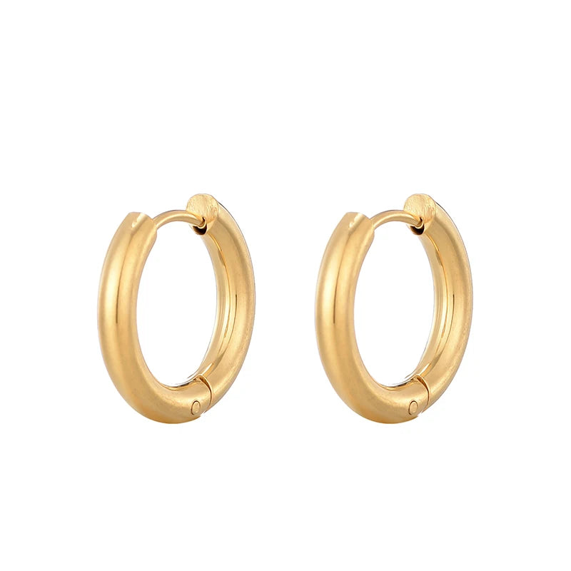 Classic Stainless Steel Hoop Earrings - Heart, Star, Oval & Geometric Punk Hip Hop Jewelry for Women & Men