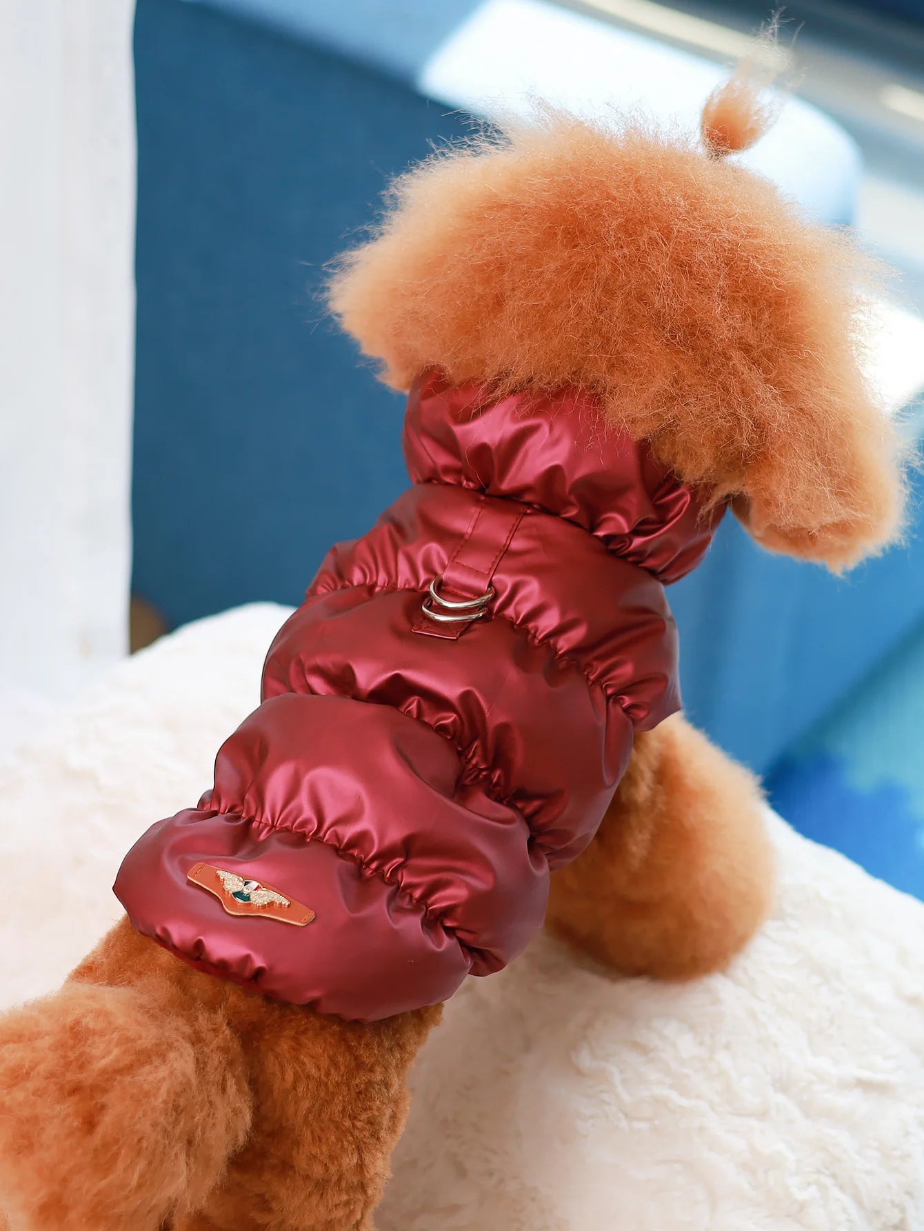 Dog Jacket for Autumn/Winter - 3-Layer Thick Warm Pet Coat for Small to Medium Dogs