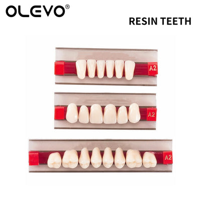 84PCS Dental Acrylic Resin Denture Teeth Set – Full Mouth Upper & Lower False Teeth Model (A1/A2/A3, S/M/L Sizes)
