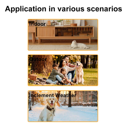 1080P HD Pet Collar Camera - Wireless No-WiFi Video Recorder for Dogs and Cats, Portable Pet Camera Gift