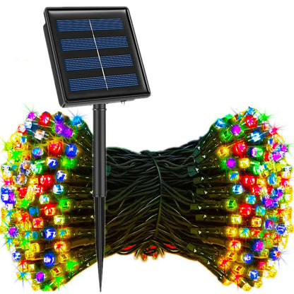 50035613073715|50035613139251|50035613172019|50035613204787
