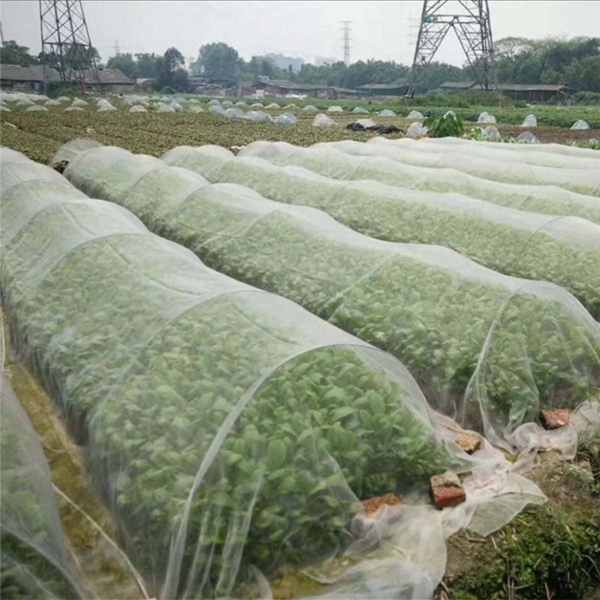 Garden Insect Protection Net – Greenhouse Protective Cover for Flowers, Vegetables, and Fruit Plants