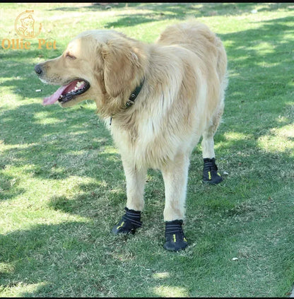 Dog Shoes Waterproof Rain Boots — Anti-Slip, Warm Snow & Reflective Protection for Small and Large Pets