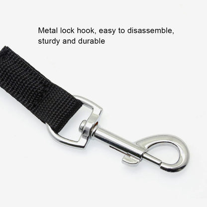 Elastic Kayak Paddle Leash — Adjustable Coiled Lanyard with Safety Hook for Fishing Rods
