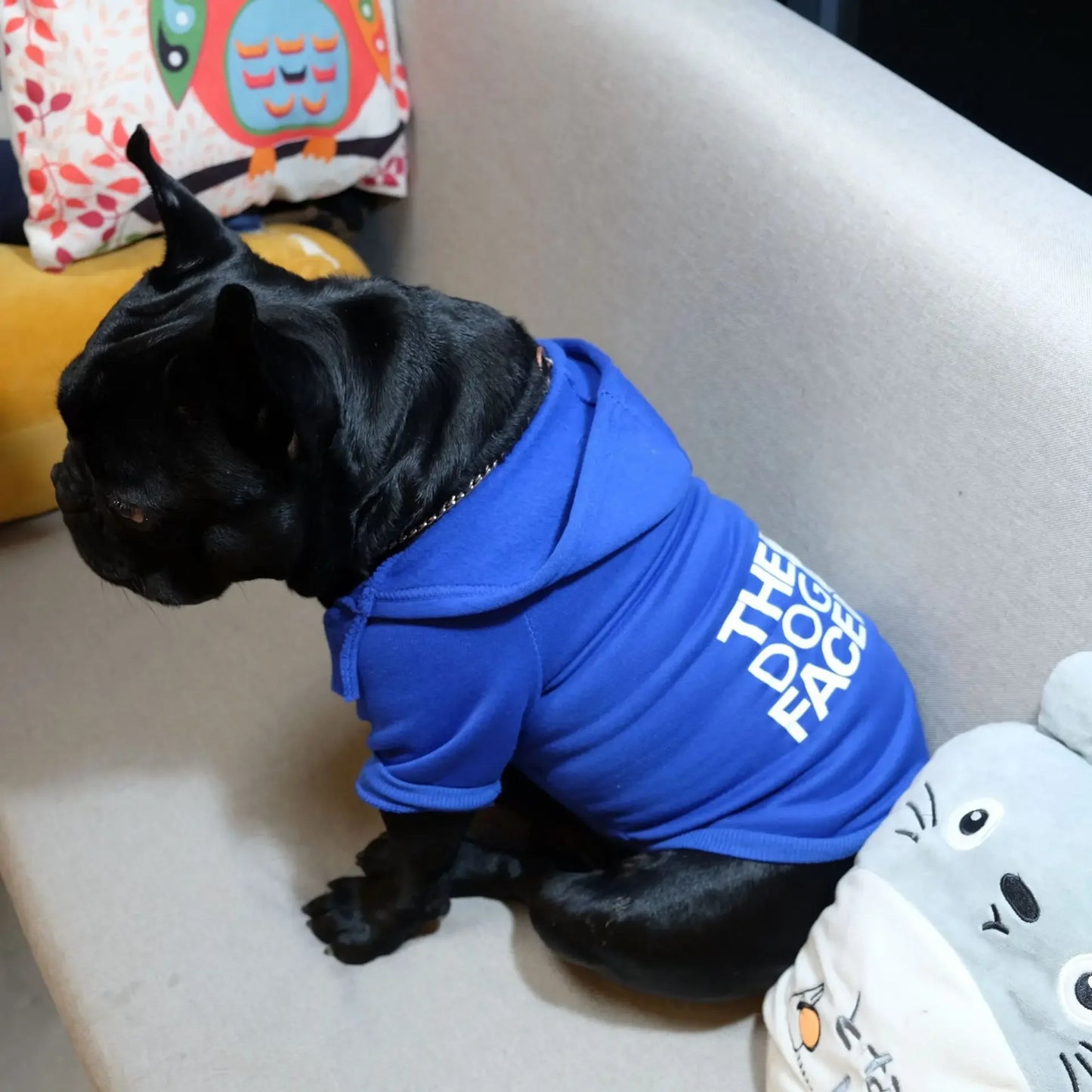 Autumn and Winter Pet Dog Hoodies – Large Dog Clothes with Dog Face Text Pattern, Ideal for French Bulldogs and Labradors