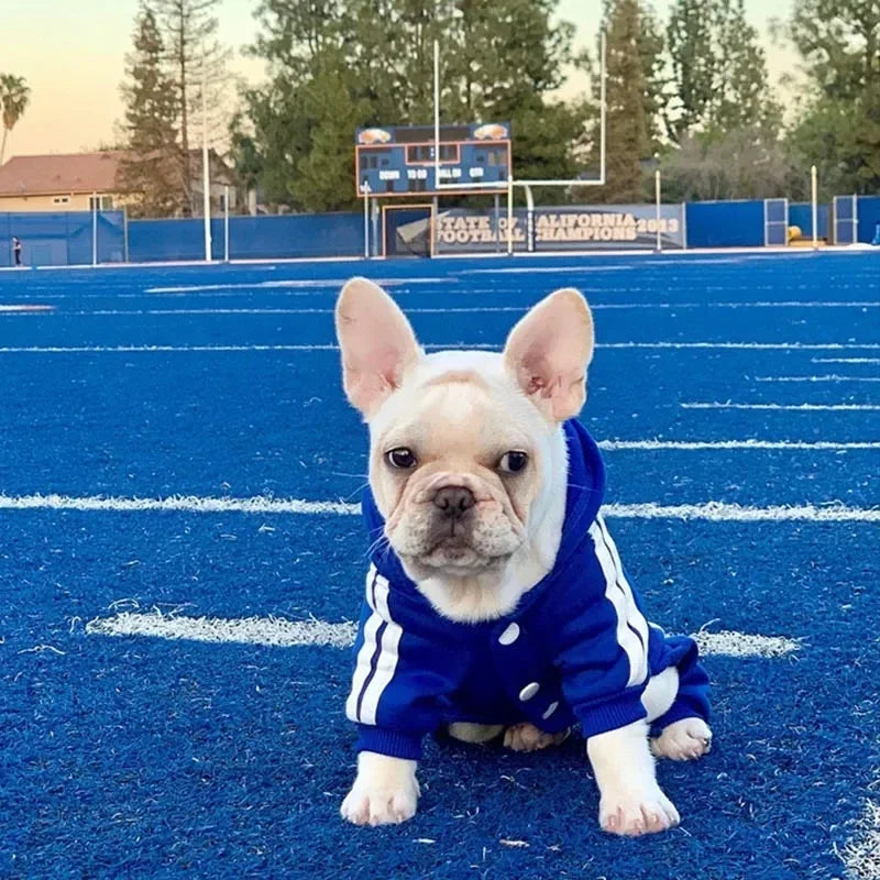 Stylish Pet Jumpsuit for French Bulldogs, Chihuahuas, and Pugs - Comfortable Dog Clothing for Small to Medium Breeds
