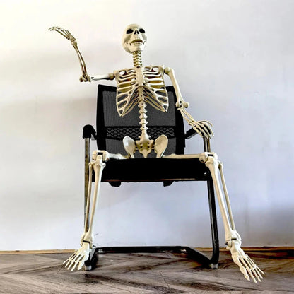 Halloween Life Size Human Skeleton Decoration — Realistic Body Bones with Posable Joints for Haunted House Horror Props