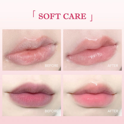 6PCS Fruit-Flavored Lip Balm Set with Aloe Vera – Deep Hydrating Lip Moisturizer, Anti-Dryness Lip Care, Plumping & Smoothing Lip Lines Treatment