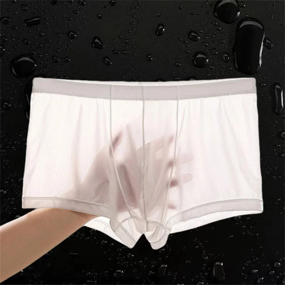 Ultra Thin Ice Silk Boxers - Semi-Transparent Seamless Men’s Trunk Underwear Plus Size