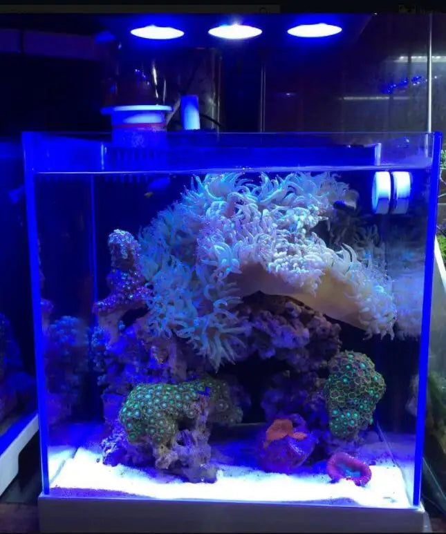 Spectra Nano 029 Aquarium LED Light - 30W Saltwater Reef Lamp with Touch Control for Coral & Fish Tank Lighting