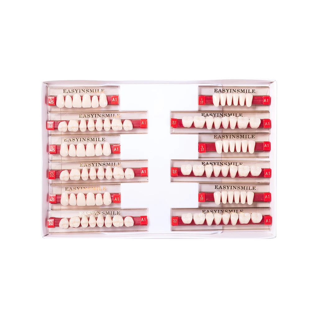 16/12 Set Dental Denture Teeth Model Kit, Upper & Lower Anterior Synthetic Polymer Teeth A2 A3 for Dental Education & Training