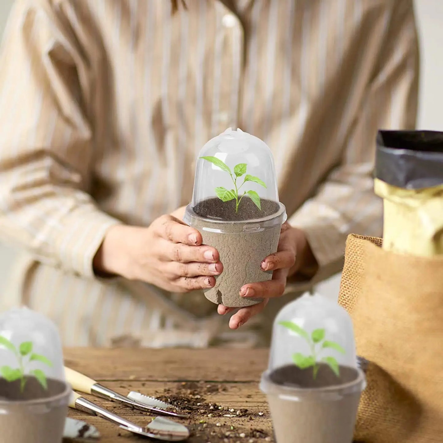 Complete Seed Starter Kit: Biodegradable Peat Pots with Labels and Humidity Domes - Perfect for Seedling Planting