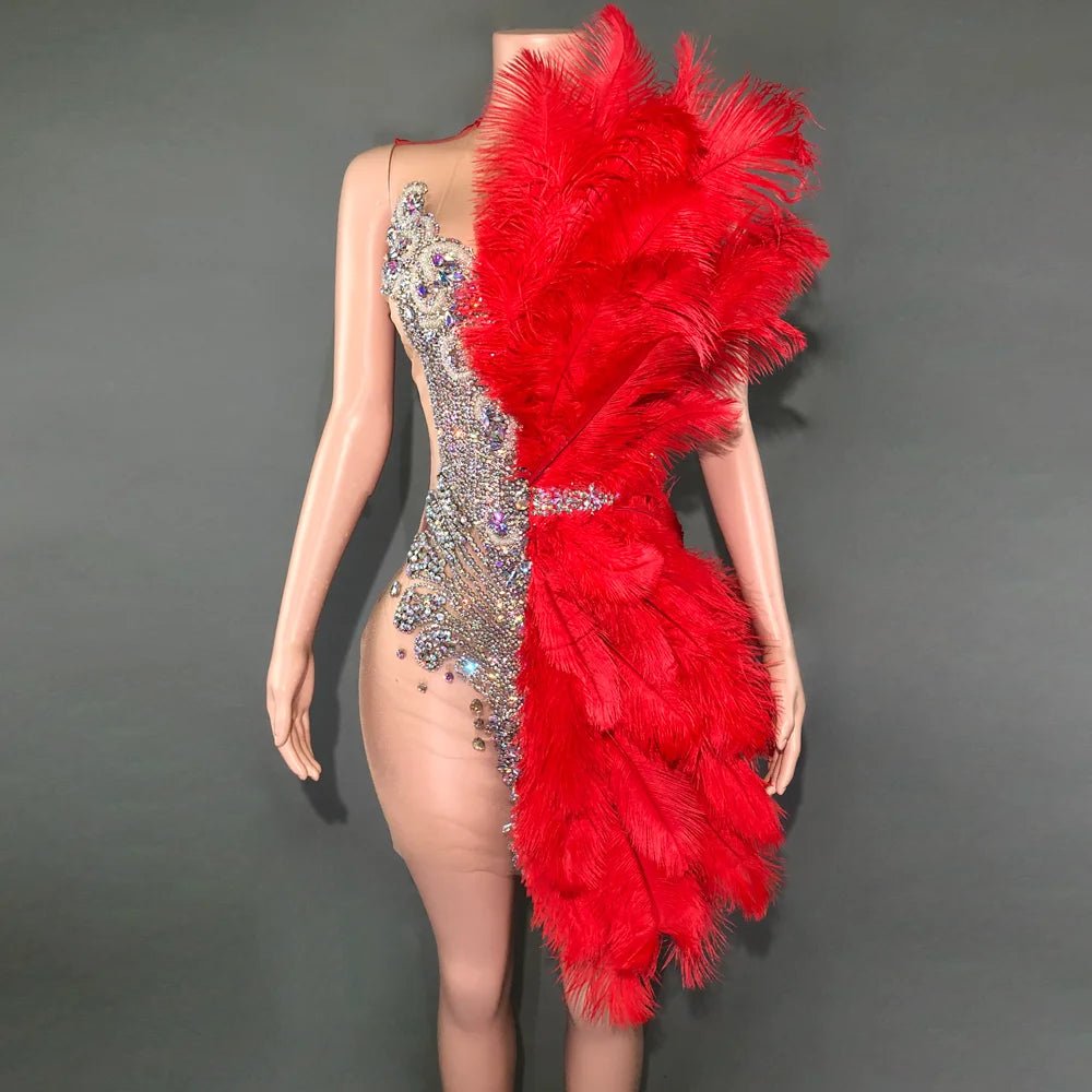 Sparkly Rhinestone Mesh Velvet Feather Mini Dress - Sleeveless Birthday & Dance Performance Costume