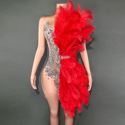 Sparkly Rhinestone Mesh Velvet Feather Mini Dress - Sleeveless Birthday & Dance Performance Costume