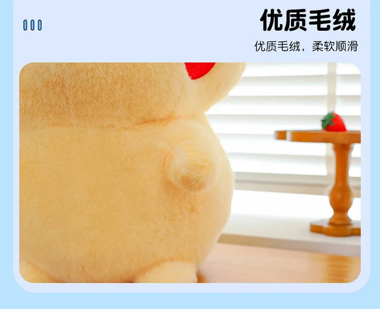 23/30/45cm Pokemon Plush Toys — Cute Soft Turtle & Little Fire Dragon Pillow Dolls for Children, Christmas Gift