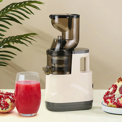 Houselin 7" Cold Press Juicer — Masticating Juicer Machine for Fruits & Vegetables