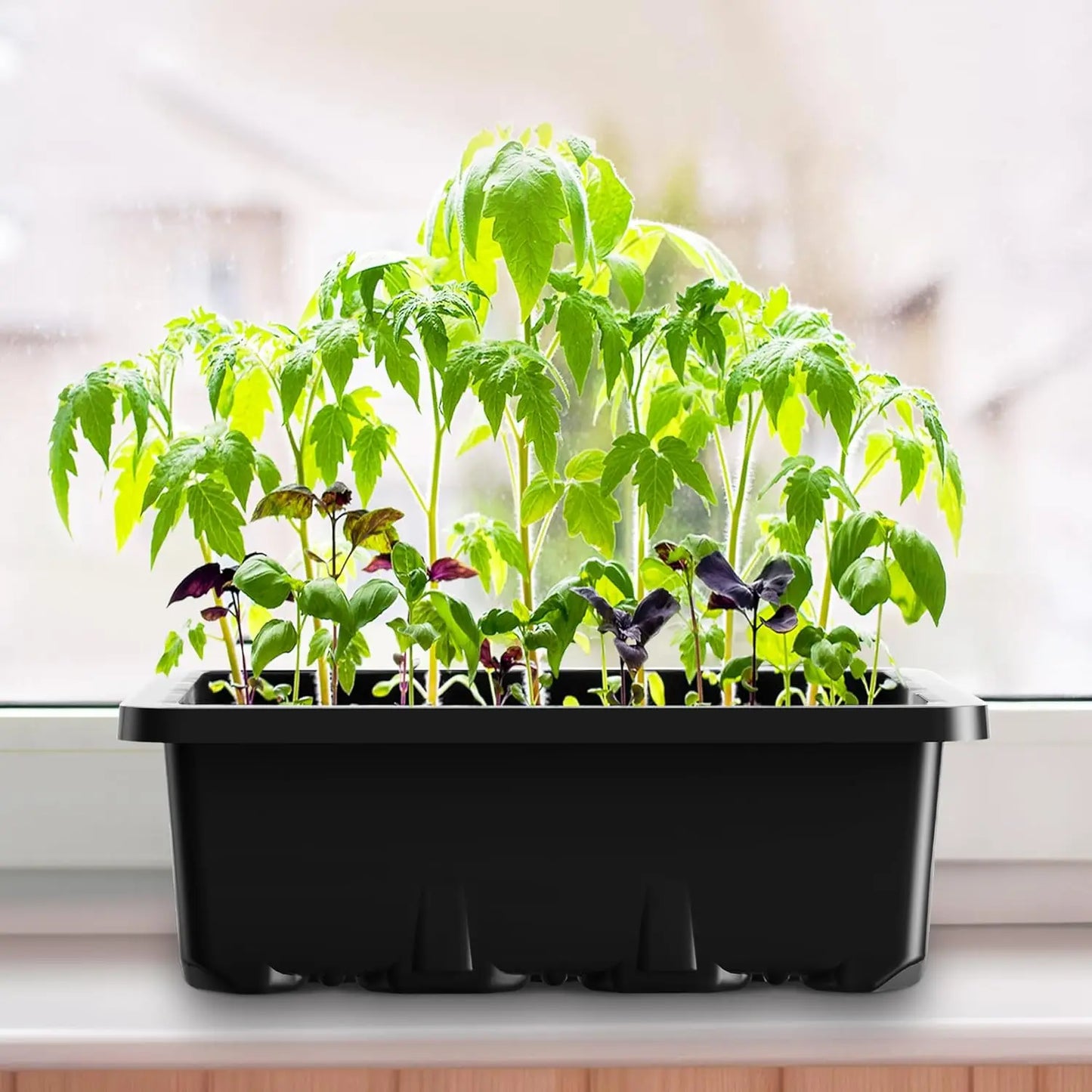 10-Pack Seed Starter Trays with Vent Holes – 12-Grid Mini Greenhouse Planting Kit for Seed Growing & Cultivation