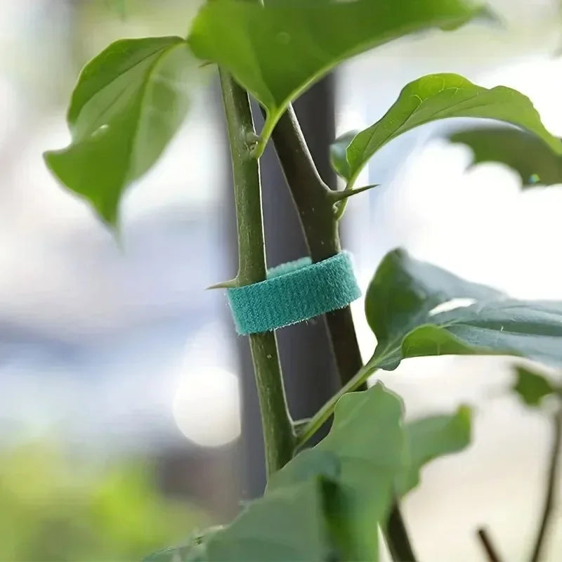 Reusable Self-Adhesive Plant Ties | Adjustable Green Nylon Garden Tape Strips for Plant Support
