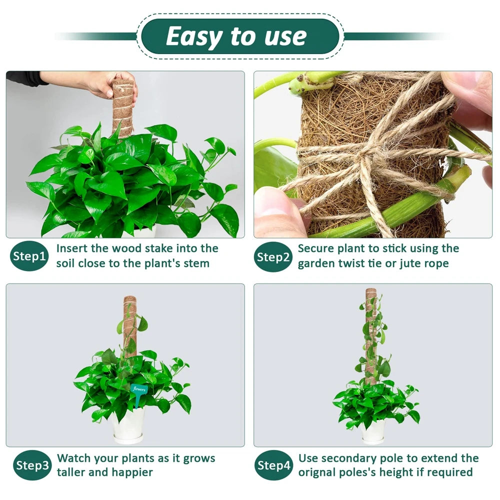 Indoor Climbing Plants Moss Pole - 30/40/50cm Plant Support with Garden Ties for Upward Growth - Ideal for Creepers