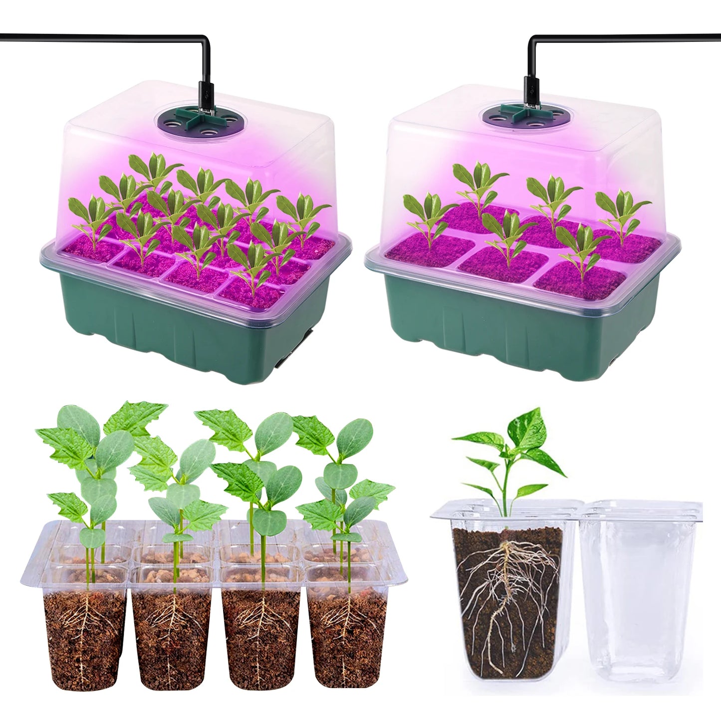 LED Grow Light with 6/12-Hole Seed Starter Trays — Indoor Plant Germination & Seedling Growing Box