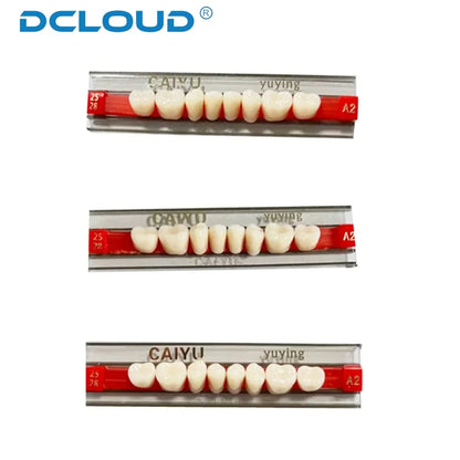 96PCS Dental Resin Denture Teeth Set – Upper & Lower Full Acrylic False Teeth Model (A2/A3 Shades, Anterior & Posterior)