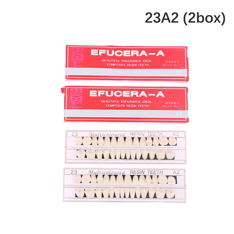 Dental Teeth Teaching Model – Professional Oral Care Training & Dental Material Tool