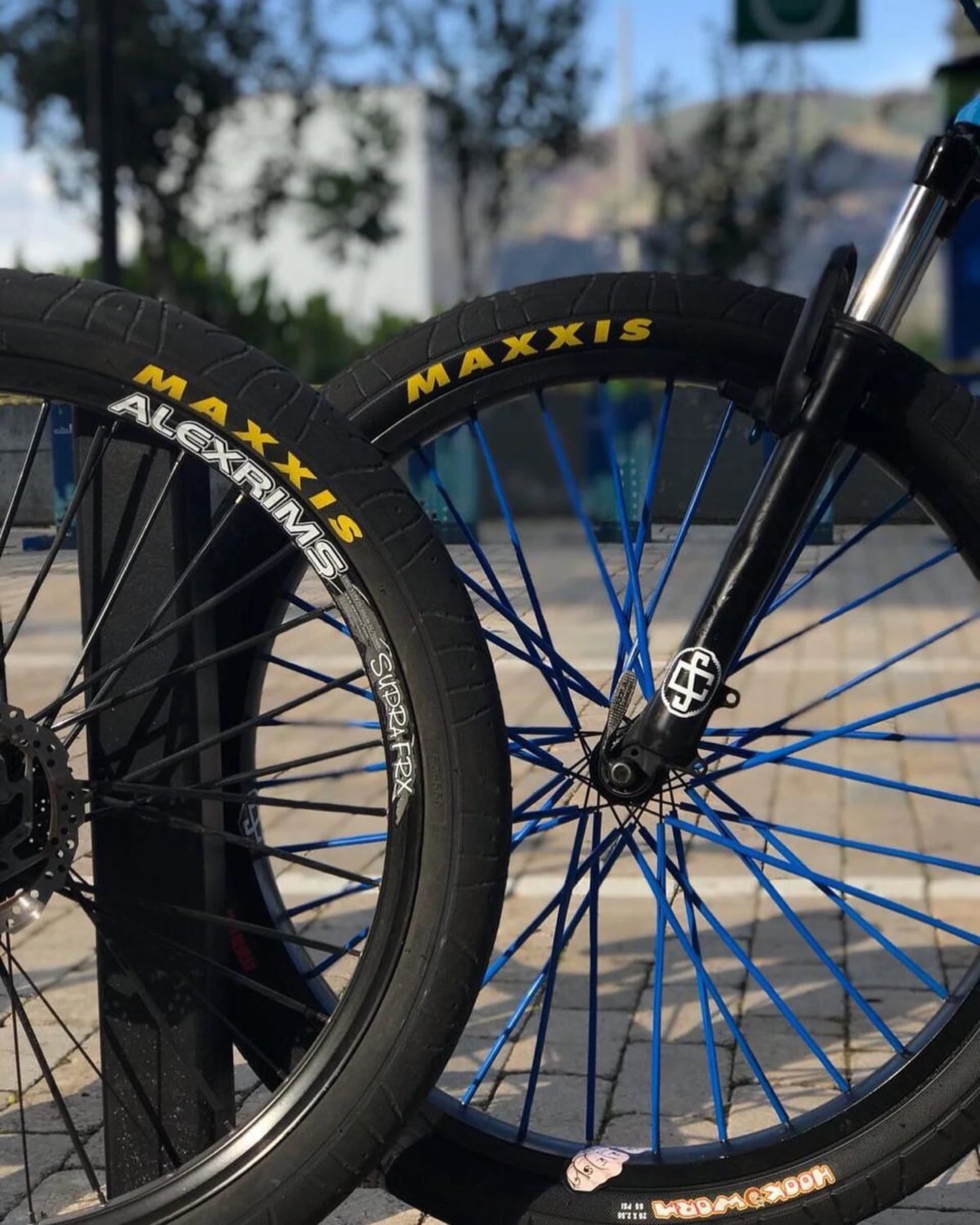 MAXXIS Hookworm BMX Bike Tire – 26x2.5 Wire Bead Clincher for Street, Park & Flatland