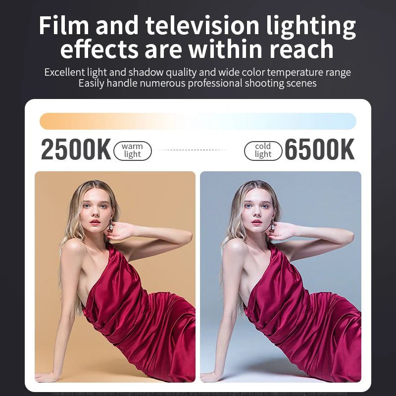 80W Dual Color Temperature COB Photography Light - Professional LED Video Light, Portable Handheld Fill Light with Mini Bowens