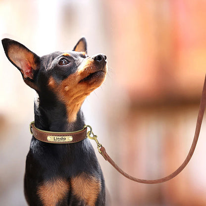 Customized Leather Dog Collar & Leash Set – Soft Padded Adjustable Collar for Small, Medium & Large Dogs with Engraved Nameplate