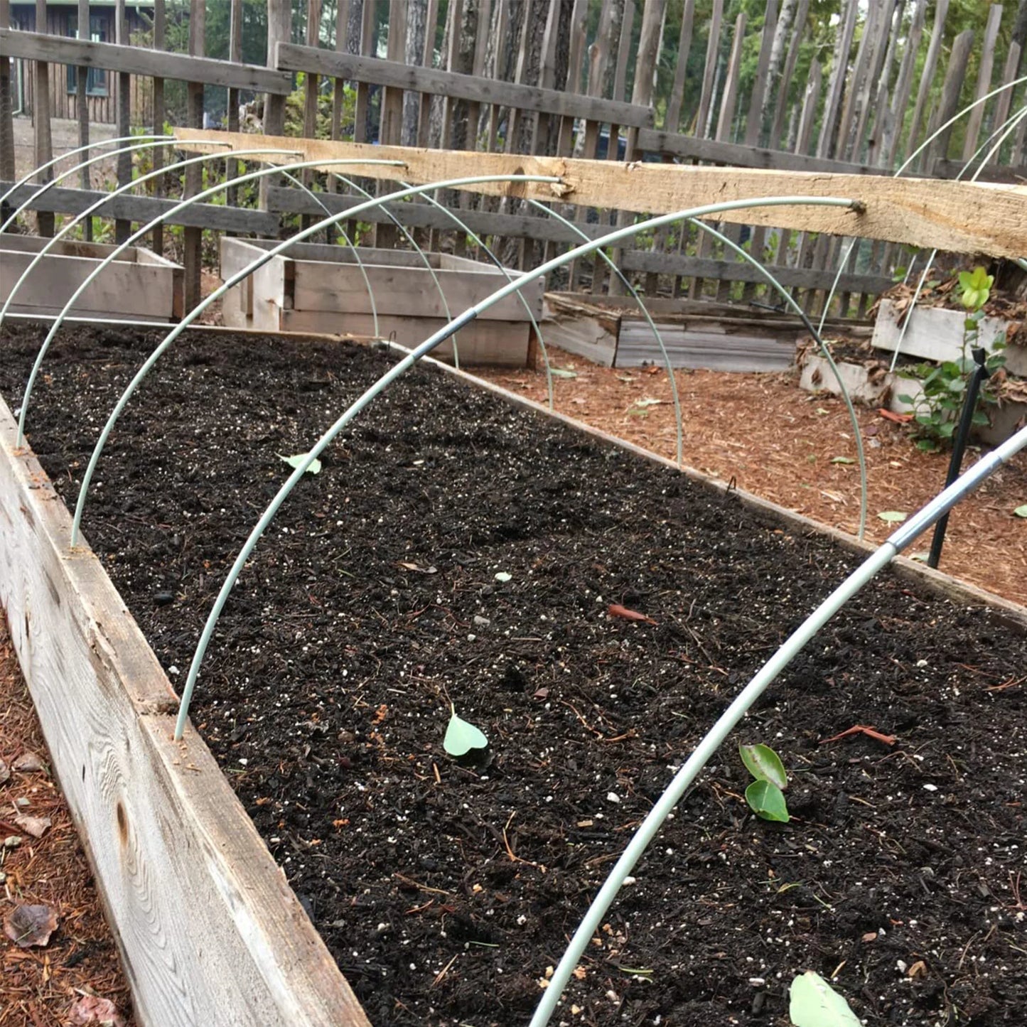 25/50pcs Garden Greenhouse Hoops | Rust-Free Fiberglass Plant Support Frame for DIY Grow Tunnel