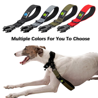 Heavy-Duty Nylon Dog Collar with Traffic Lead – Short Military-Style Leash with Metal Buckle for Large Dogs & Puppies