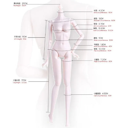 29cm 1/6 Doll Body Accessories – Flat-Foot Replacement Legs for Supermodel Dolls, DIY Dress-Up Toy in White, Normal & Tan Skin