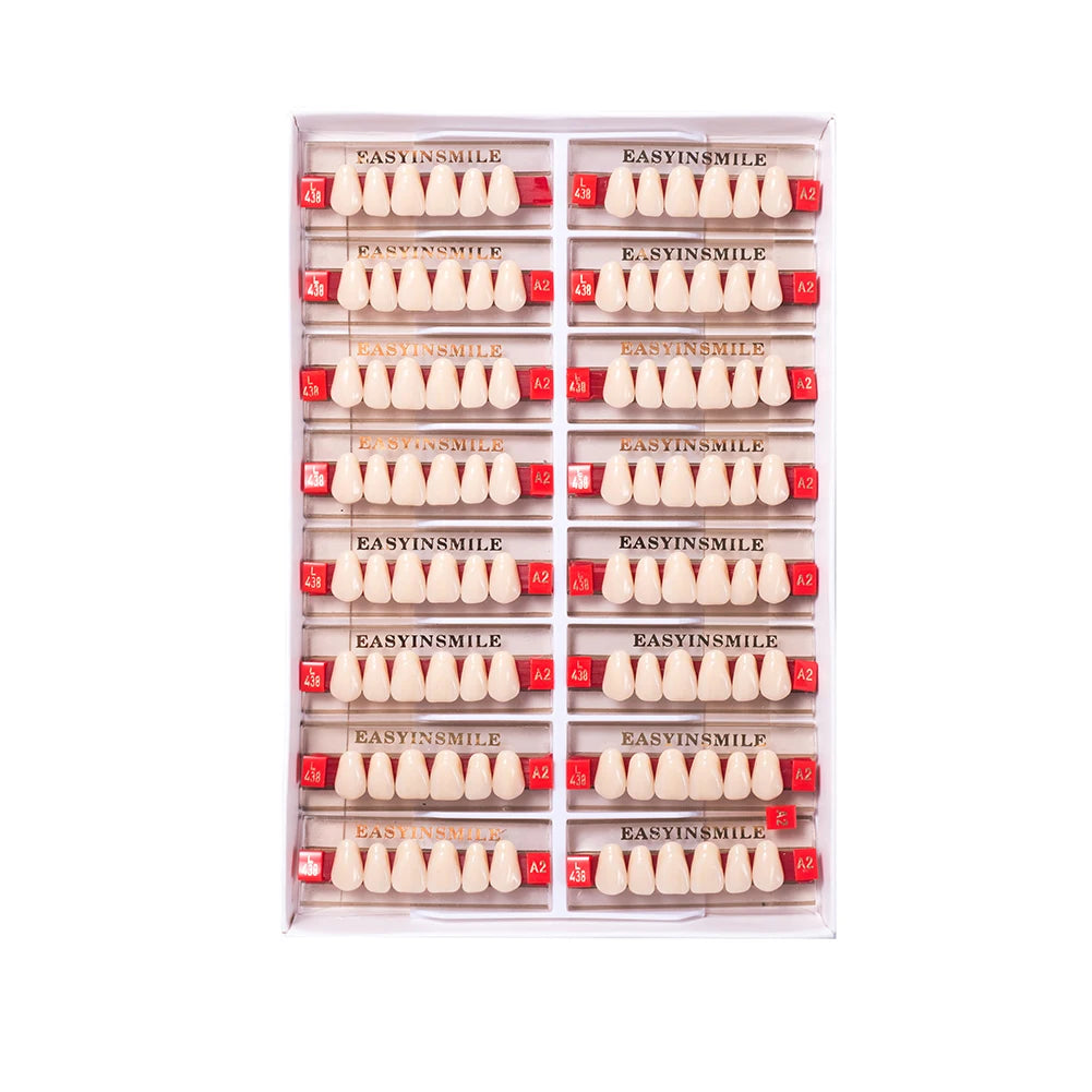 16/12 Set Dental Denture Teeth Model Kit, Upper & Lower Anterior Synthetic Polymer Teeth A2 A3 for Dental Education & Training