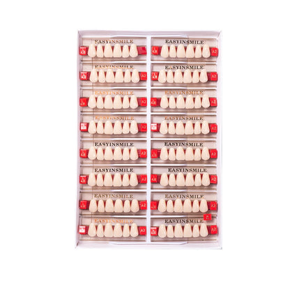 16/12 Set Dental Denture Teeth Model Kit, Upper & Lower Anterior Synthetic Polymer Teeth A2 A3 for Dental Education & Training