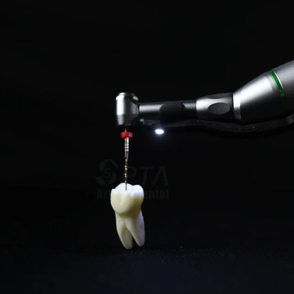 SPTA Cordless Dental Endo Motor – LED 16:1 Contra Angle with Reduction Head for Low-Speed Endodontic Treatment