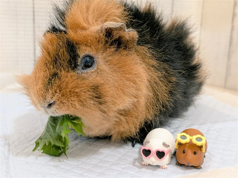 Guinea Pig with Sunglasses Blind Box – Cute Mini Anime Action Figure, Kawaii Desktop Decoration & Collectible Toy, Birthday Gift