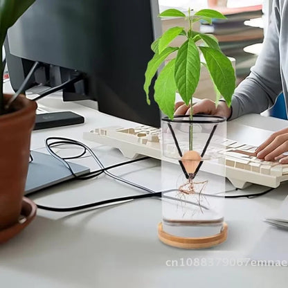 Avocado Seed Starter Vase Holder Set (1/2/4pcs) – Metal Triangle Growing Stand for Avocado, Carrot & Sweet Potato Propagation, Indoor Plant Rooting Kit