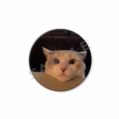 50mm Tinplate Cat Meme Button Pins – Funny Round Brooch Lapel Badge for Hats, Bags & Kids Gifts