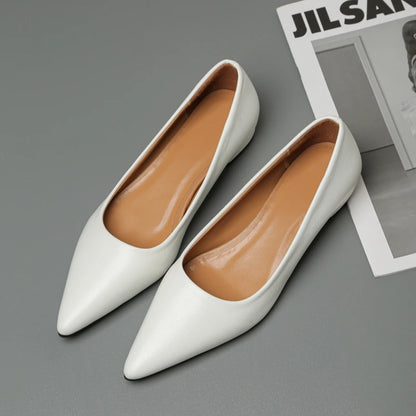 Women’s Pointed Toe Leather Heels – Shallow Mouth Square Heel Elegant Dress Shoes, Zapatos Mujer