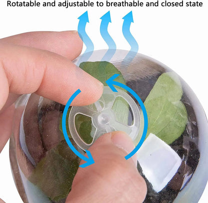 Complete Seed Starter Kit: Biodegradable Peat Pots with Labels and Humidity Domes - Perfect for Seedling Planting