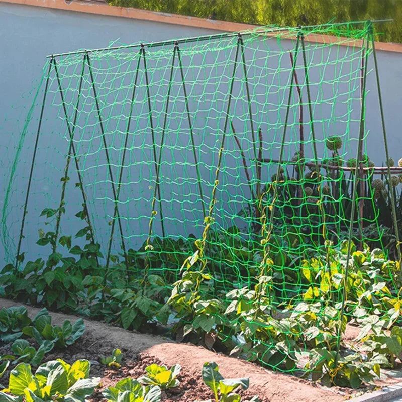 Heavy Duty Garden Plant Trellis Netting – Polyester Square Mesh Support for Climbing Plants, Vegetables & Vines