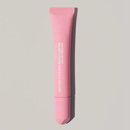 Makeup Cheek Blush Cream Stick & Lip Gloss – iPhone Case for iPhone, Toast, Salty Tan, Raspberry & Espresso Lipstick