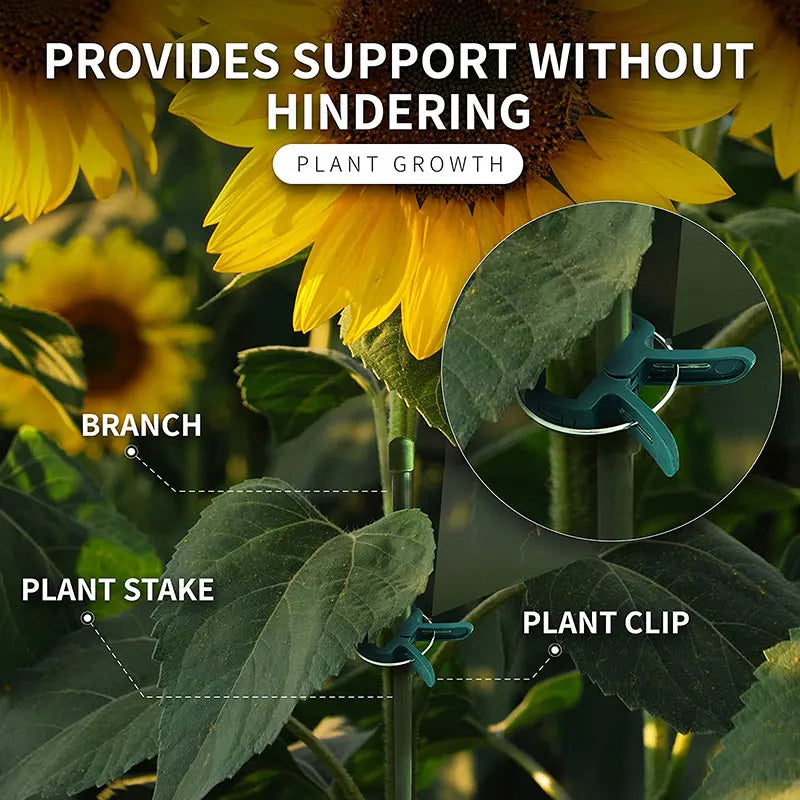 Reusable Plant Fixed Clips - Garden Greenhouse Brackets for Supporting Plants, Vine, Flower Seedling, Tomatoes - Garden Supplies
